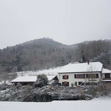 Rombach-le-Franc Gite Le Creux Chene المظهر الخارجي الصورة