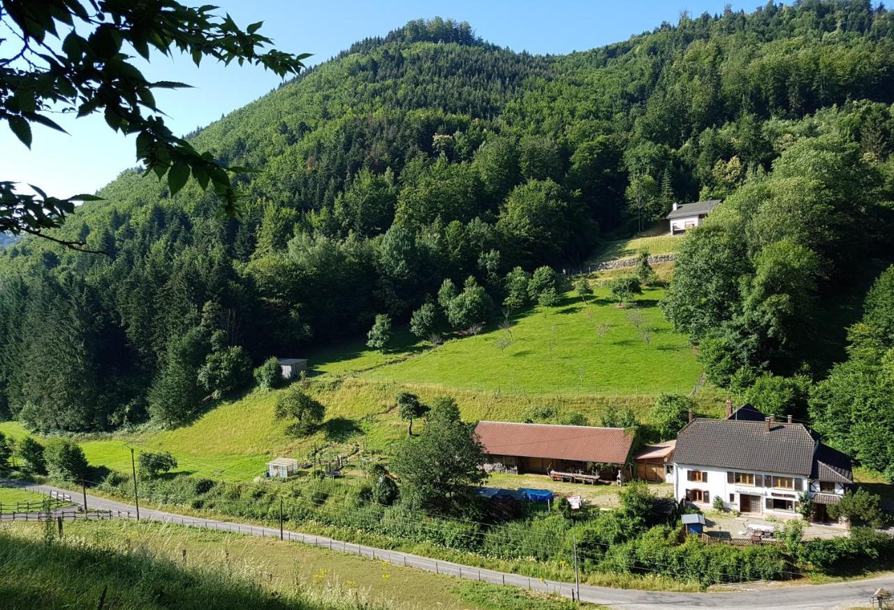 Rombach-le-Franc Gite Le Creux Chene المظهر الخارجي الصورة
