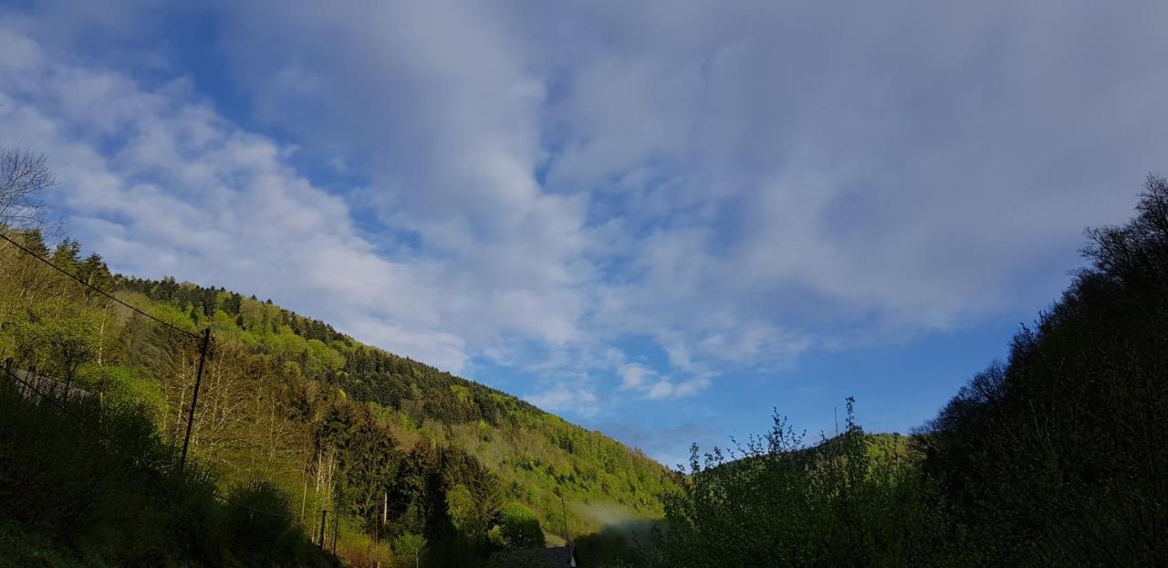 Rombach-le-Franc Gite Le Creux Chene المظهر الخارجي الصورة