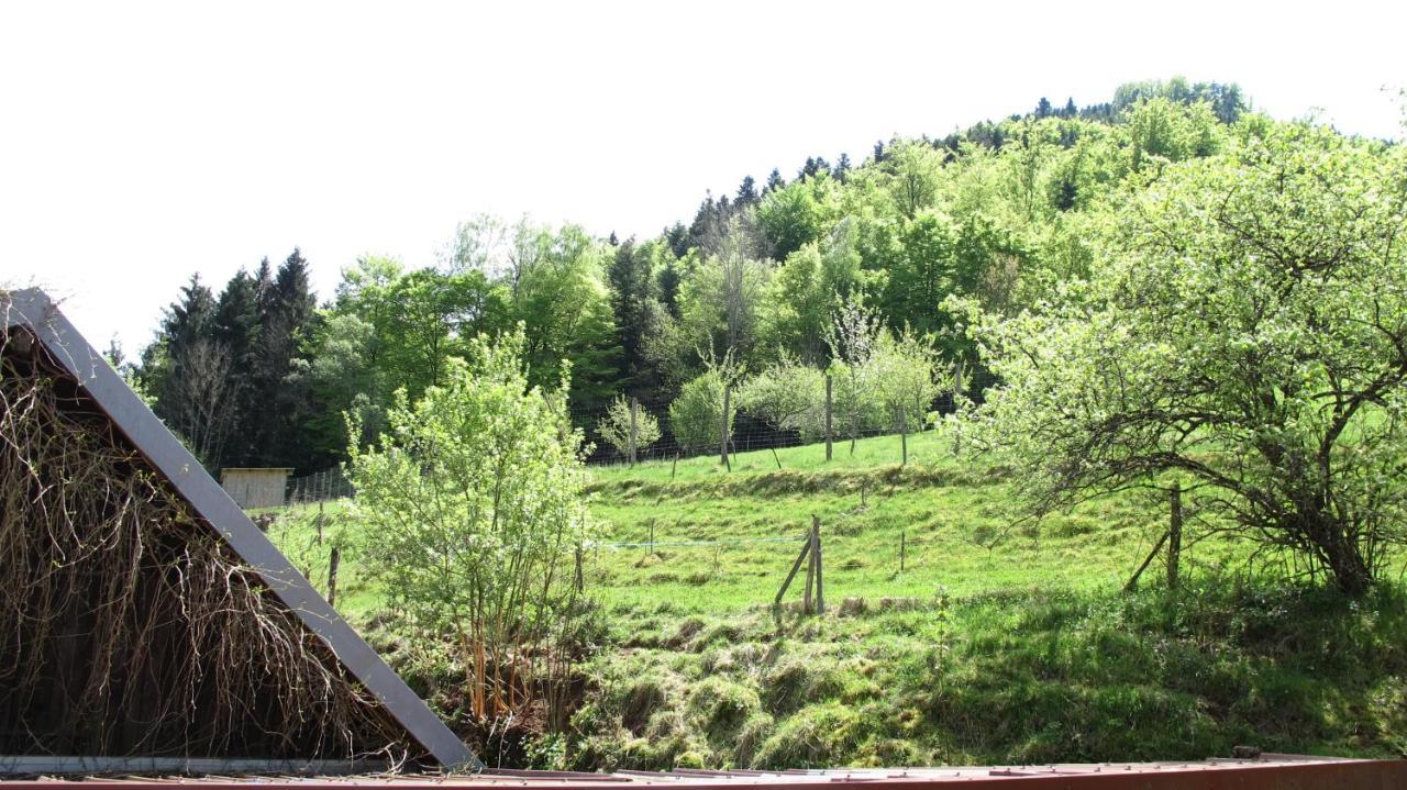 Rombach-le-Franc Gite Le Creux Chene المظهر الخارجي الصورة