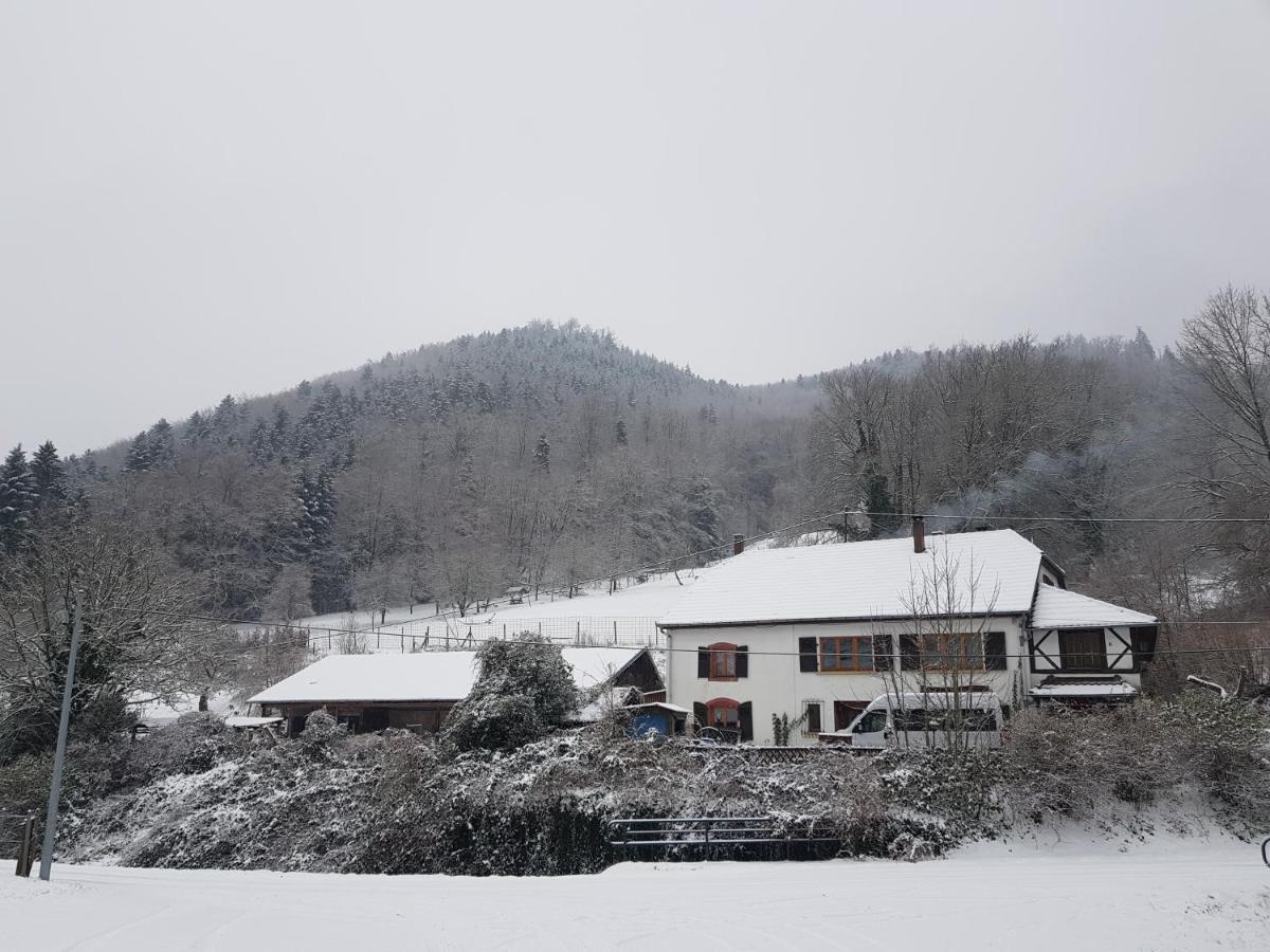 Rombach-le-Franc Gite Le Creux Chene المظهر الخارجي الصورة
